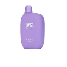 Blueberry Mint Flavored Flum Pebble 6000 Disposable Vape Device giving 6000 Puffs | evapekings.com - 1PC