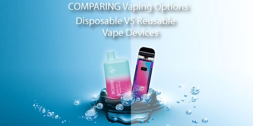Comparing Vaping Options Disposable vs Reusable Refillable Vapes | eVape Kings